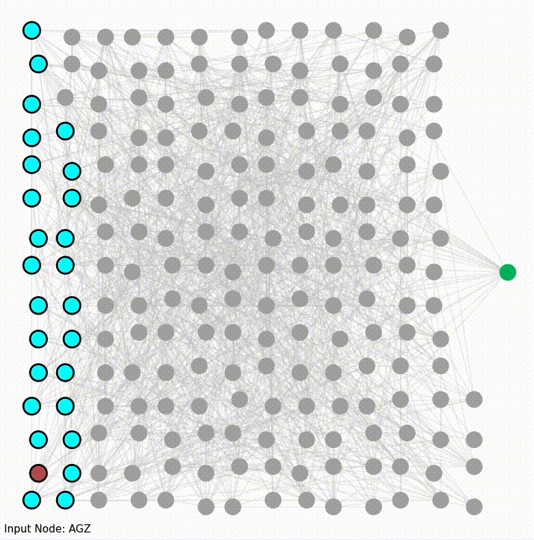 Image of Simulation Networks